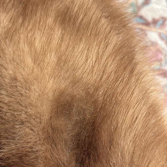 Genuine Russian SABLE FUR Vest very rare brown tan XS vintage luxury - Picture 8 of 9